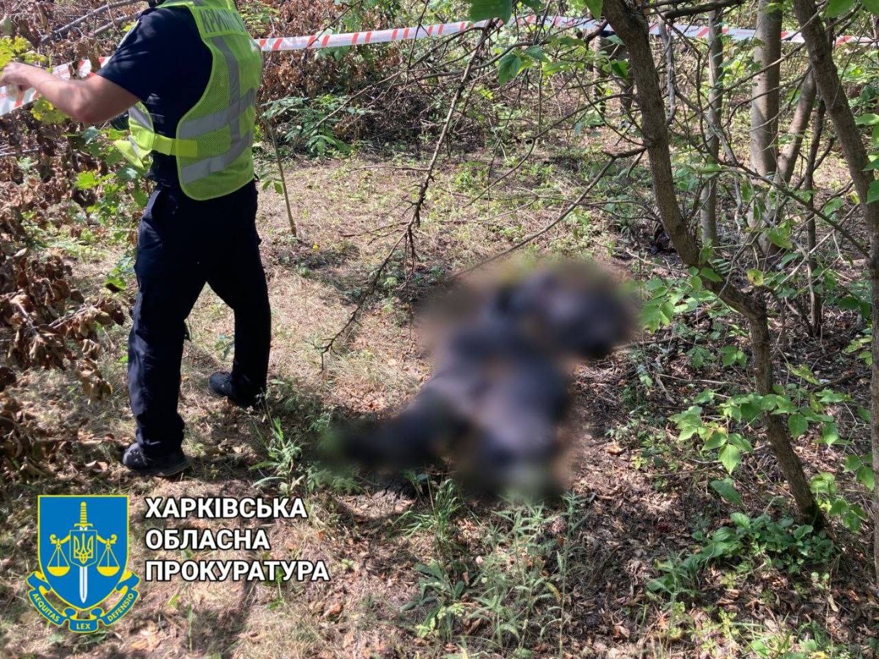 Неподалік села Мала Рогань під Харковом знайшли рештки тіла чоловіка зі зв’язаними руками
