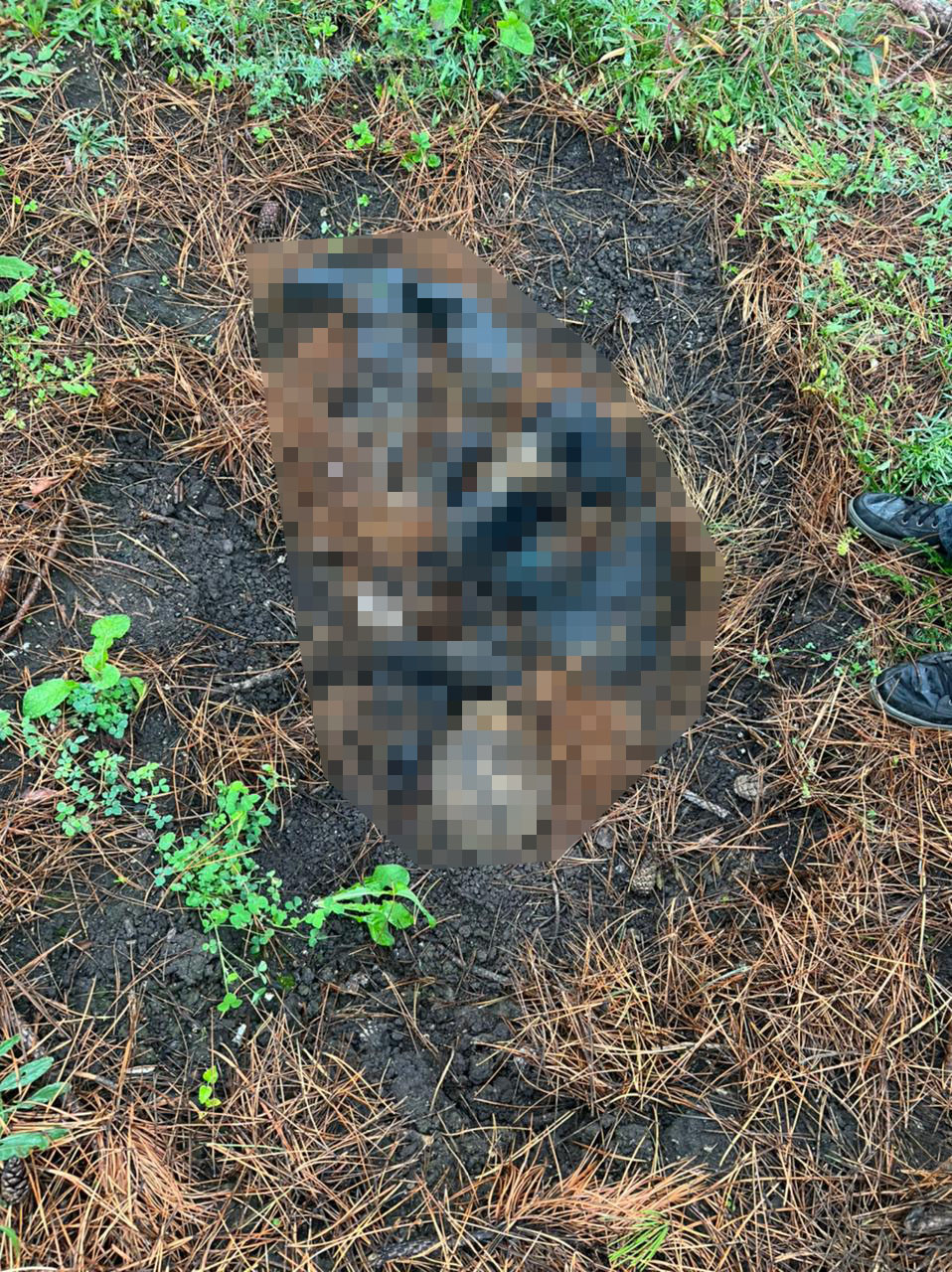 На Харківщині виявили останки людини з ознаками катування