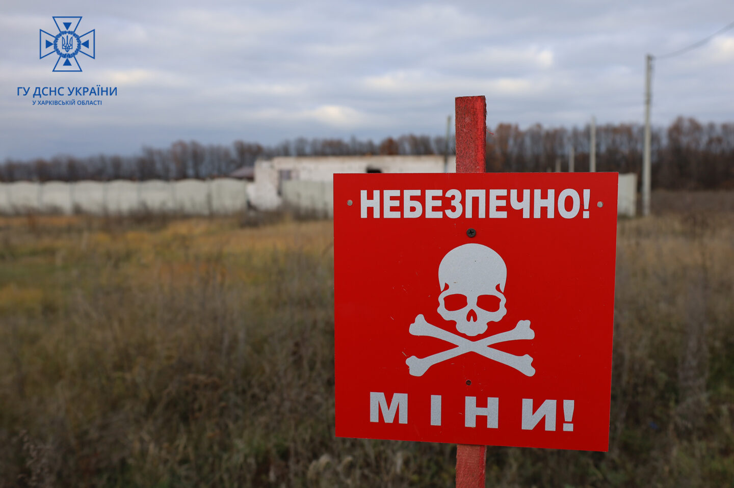 На Харківщини чоловік підірвався на міні «лепесток»