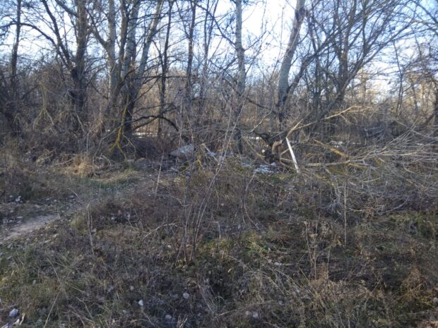 Житель Ізюмського району Харківщини підірвався на ворожій міні