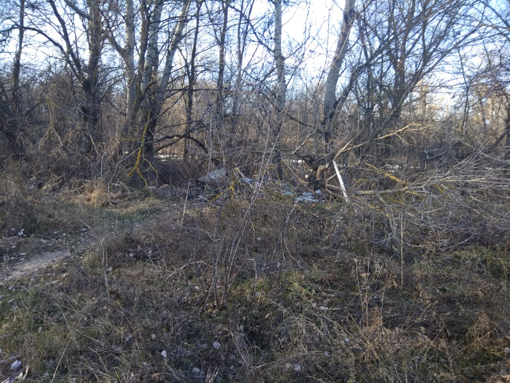 Житель Ізюмського району Харківщини підірвався на ворожій міні