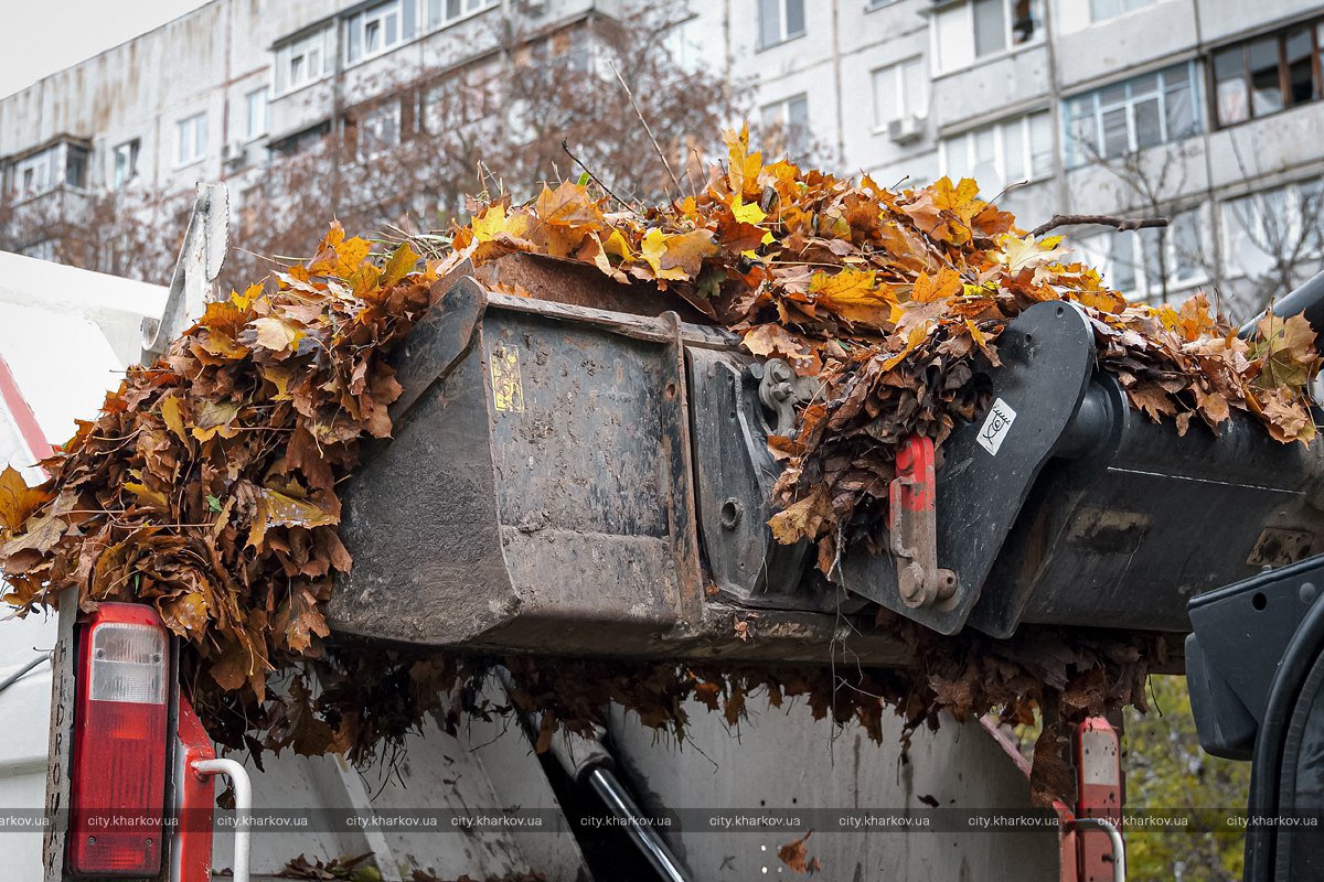 У Харкові завершують прибирання опалого листя