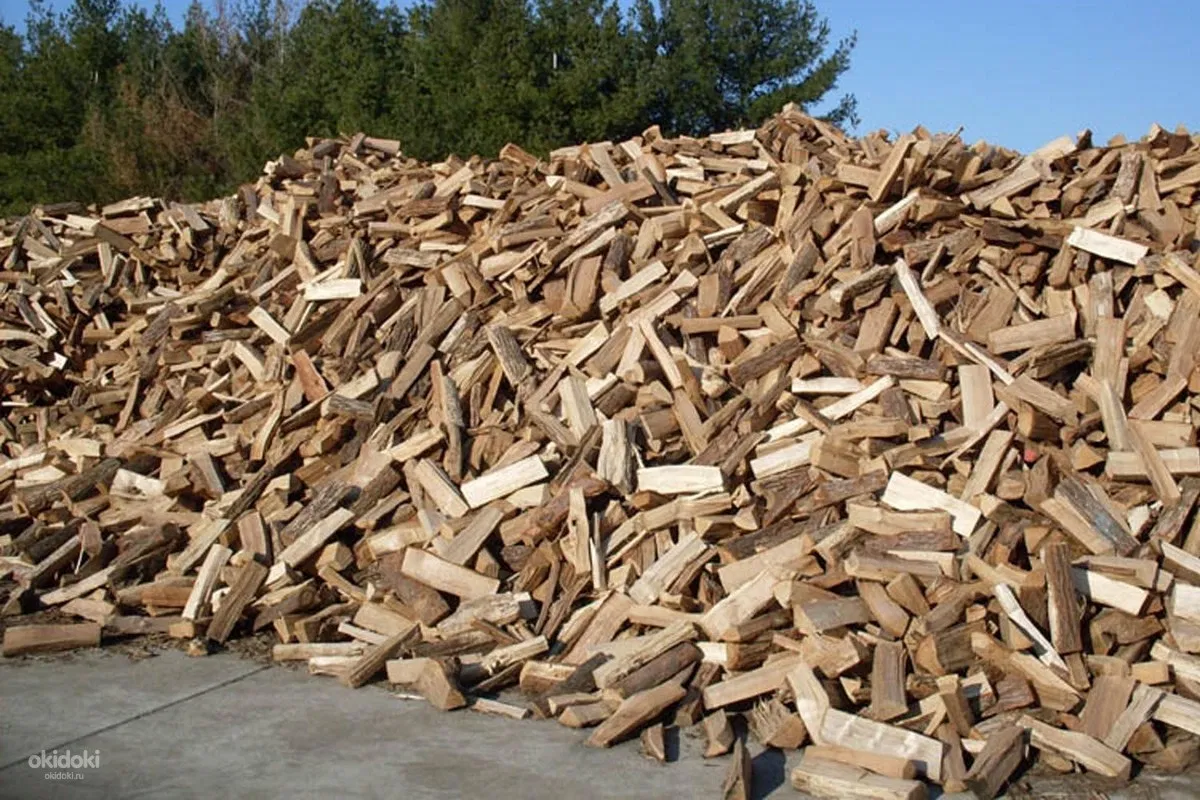 Куплю дрова колотые сухие с доставкой. Дрова. Березовые дрова. Куча дров. Дрова сосна.