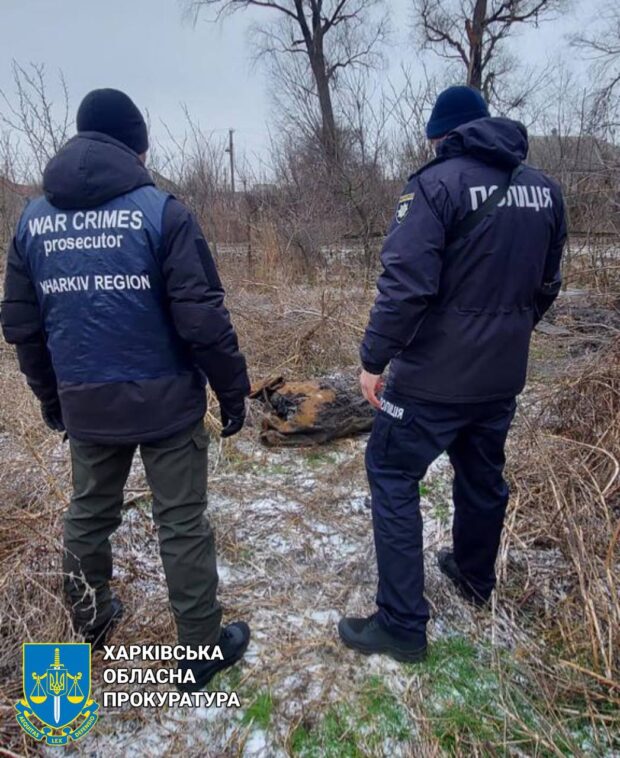 У селі на Харківщині ексгумували труп жінки, яка загинула внаслідок ворожого обстрілу у власному дворі