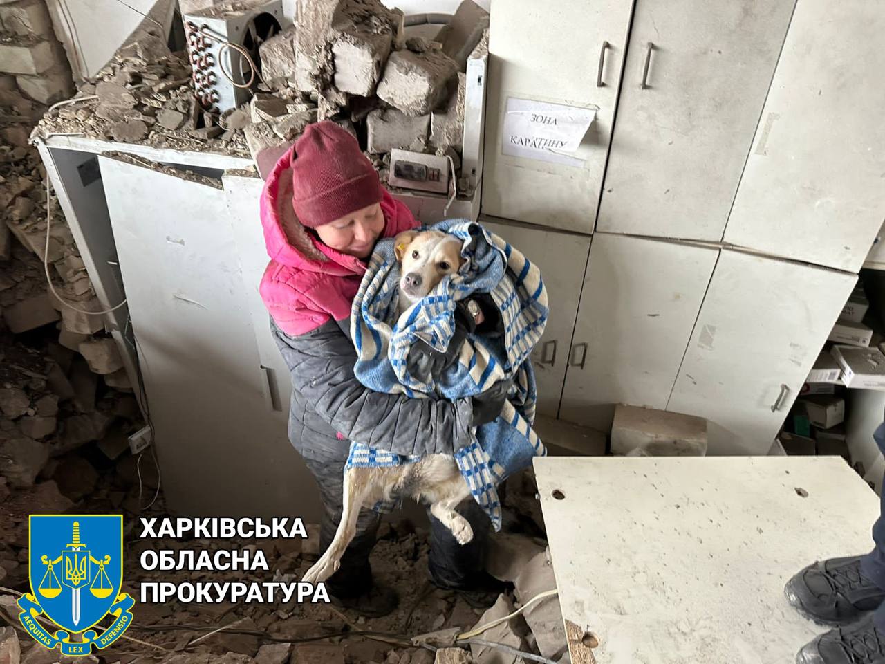У Куп‘янську правоохоронці дістали з-під завалів собаку, який постраждав від ракетного удару окупантів