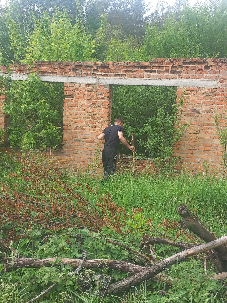 На Харківщині поліція разом з громадськістю шукають Віолетту Мужечук: до пошуків залучено понад 300 осіб
