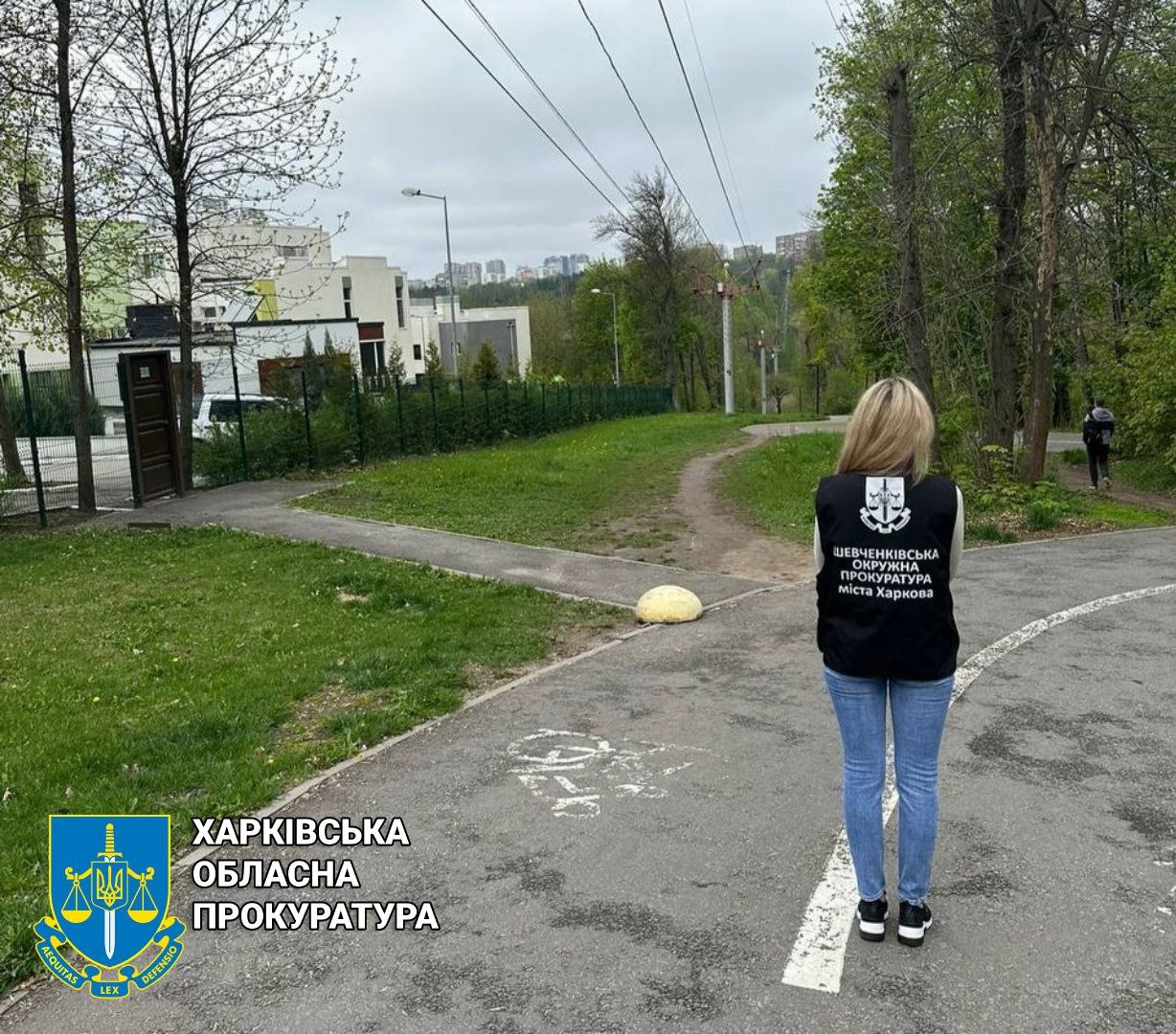 Прокуратура через суд вимагає повернути земельні ділянки у Саржиному яру