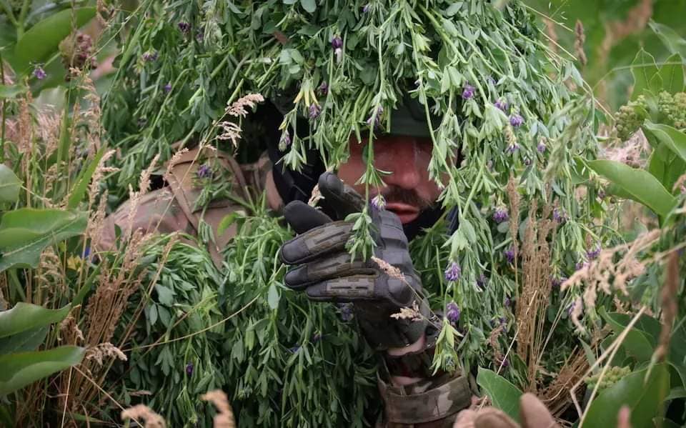 Росіяни обстріляли щонайменше 20 населених пунктів на Харківщині - Генштаб ЗСУ