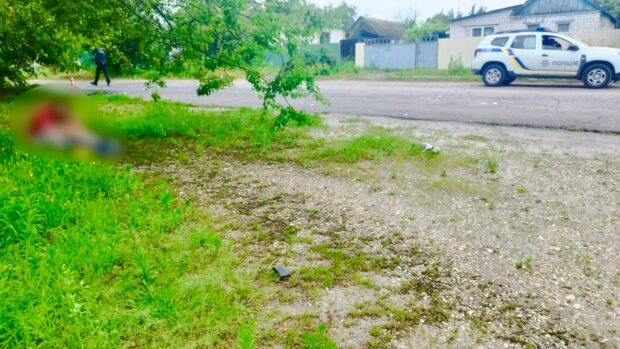 На Харківщині під колесами автомобіля загинула 11-річна дівчинка