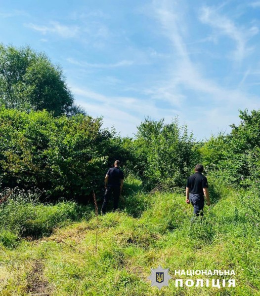 На Харківщині у лісосмузі знайшли мертвим 22-річного хлопця