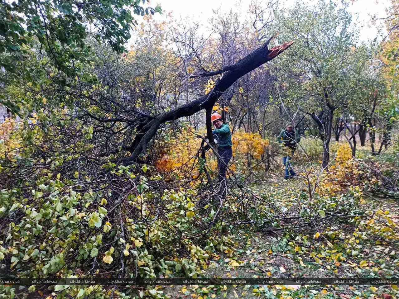 У Харкові усувають наслідки буревію