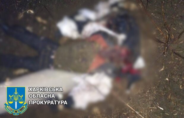 На Ізюмщині від підриву на ворожій міні загинув мирний житель