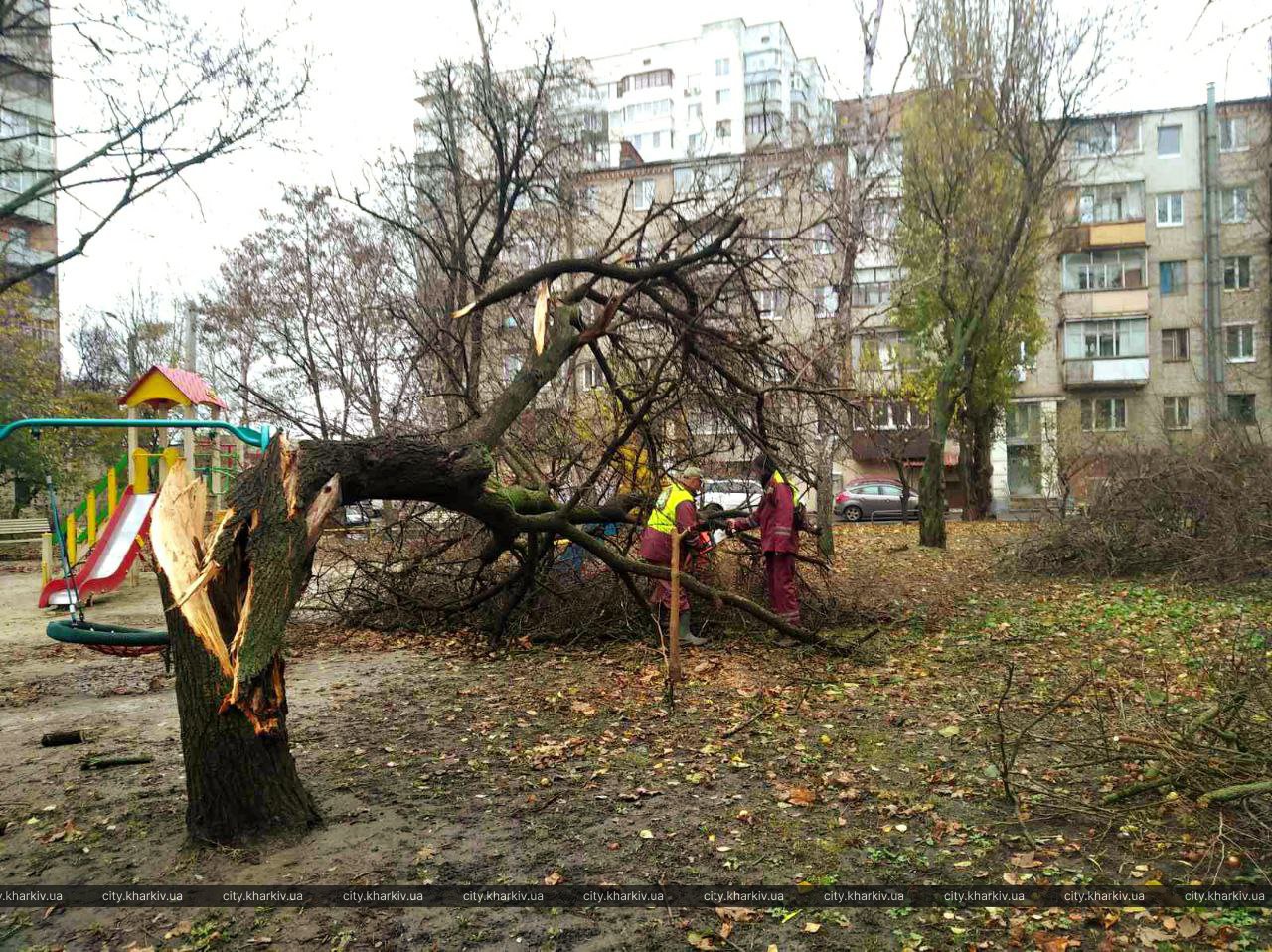 У Харкові комунальні служби продовжують усувати наслідки буревію