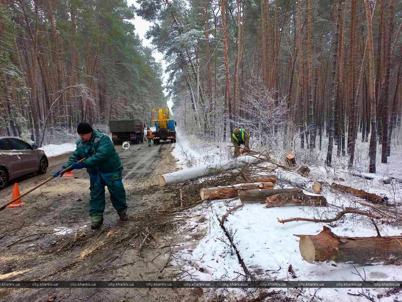 У Харкові усувають наслідки негоди