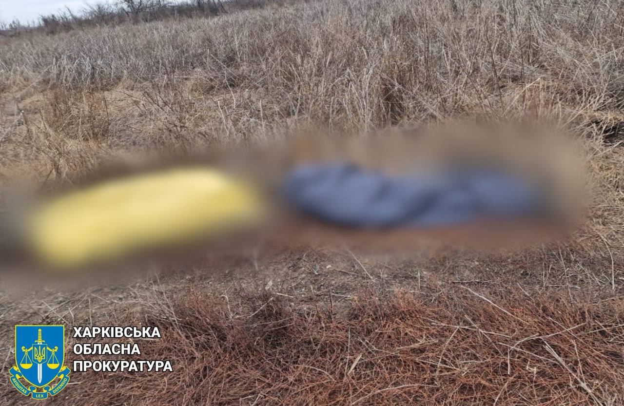 У селі на Харківщині загинули двоє людей: вони підірвались на ворожій міні
