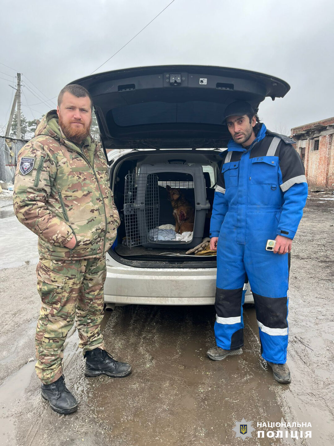 Поліцейські та волонтери Харківщини врятували життя пораненому під час обстрілу собаці