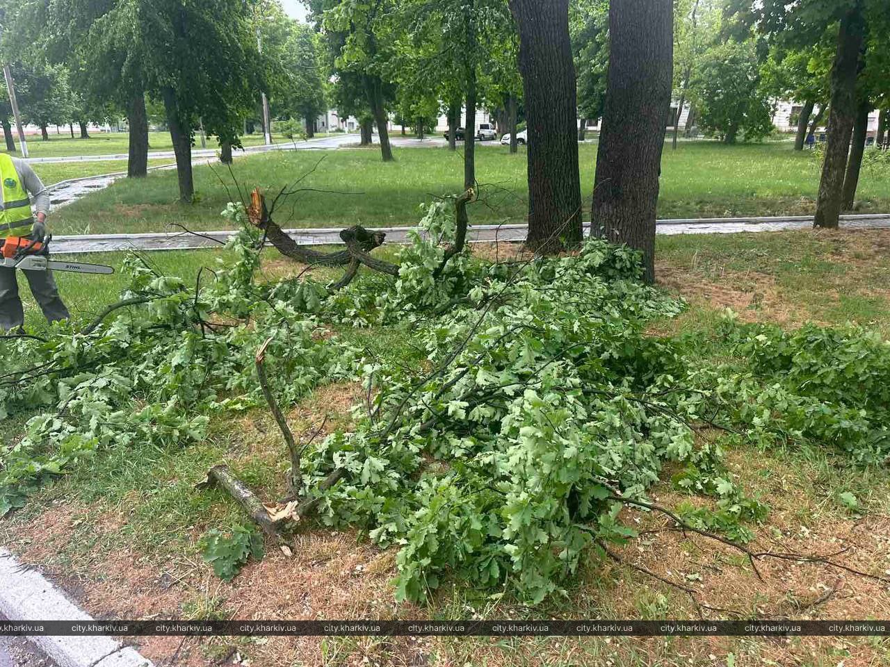 Комунальники усувають наслідки негоди в Харкові