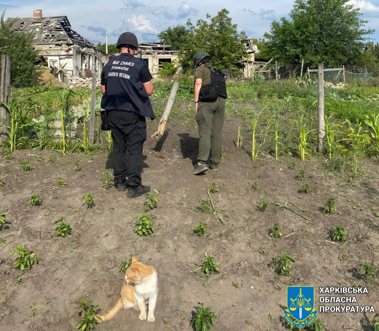 Внаслідок ворожих обстрілів Харківщини постраждали двоє літніх людей
