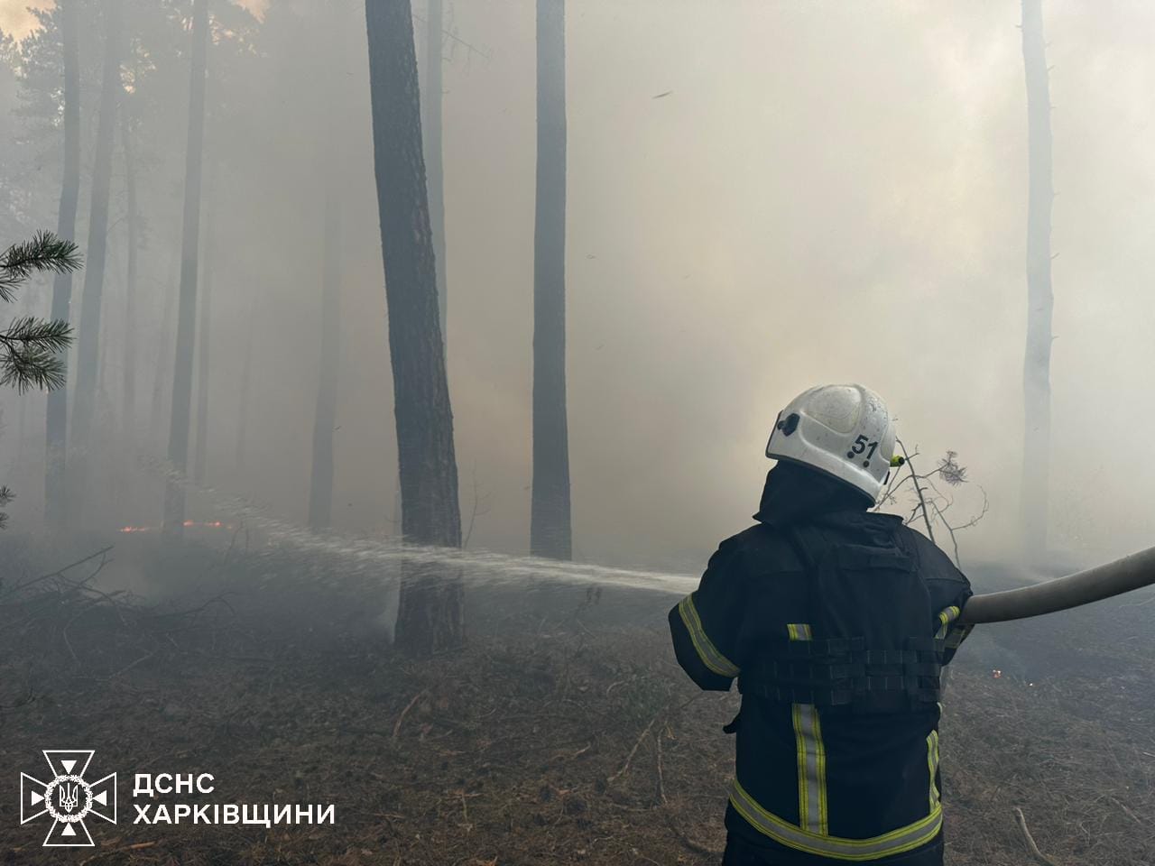 У природних екосистемах Харківщини минулого тижня спалахнуло 293 пожежі (відео)