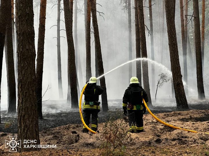 Через масштабну лісову пожежу в Ізюмському районі частково евакуюють жителів села – Синєгубов (відео)