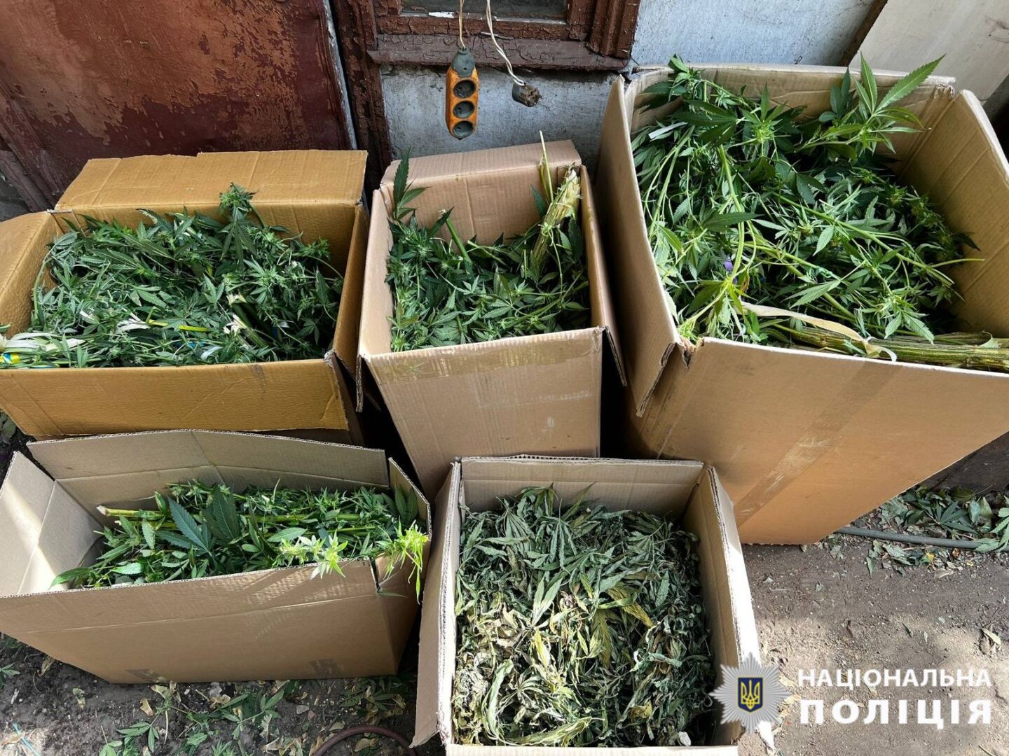 Поліцейські вилучили у харків’янина наркотиків на суму близько 350 тисяч гривень