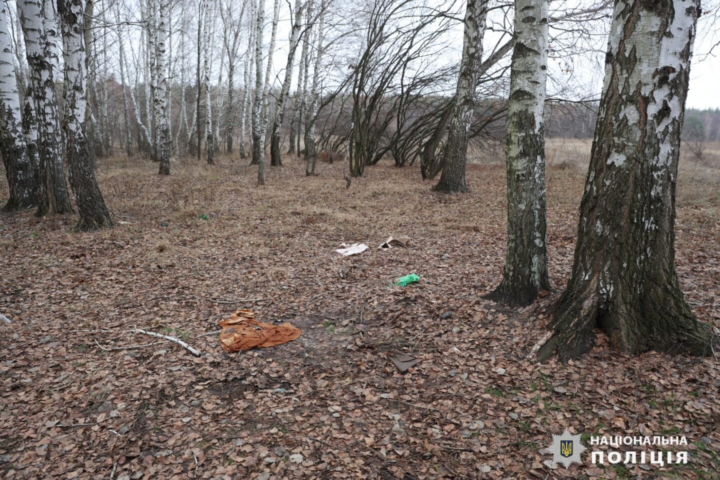 Вбив знайомого та сховав тіло у лісопосадці: у Чугуївському районі затримали підозрюваного у скоєнні злочину (відео)