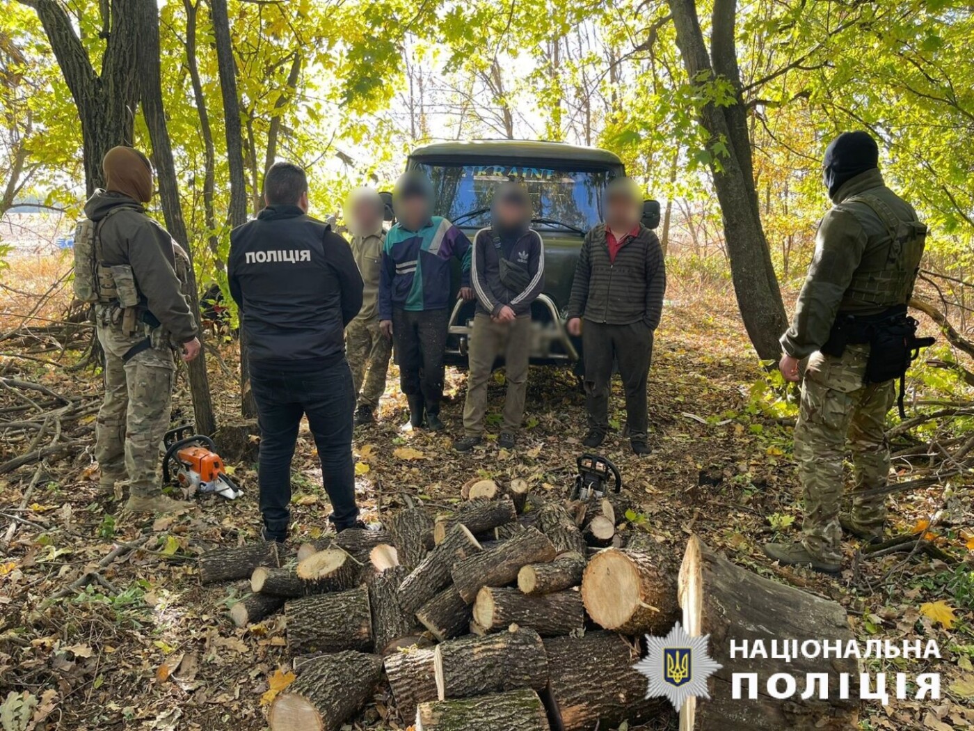 На Харківщині викрили групу «чорних лісорубів»