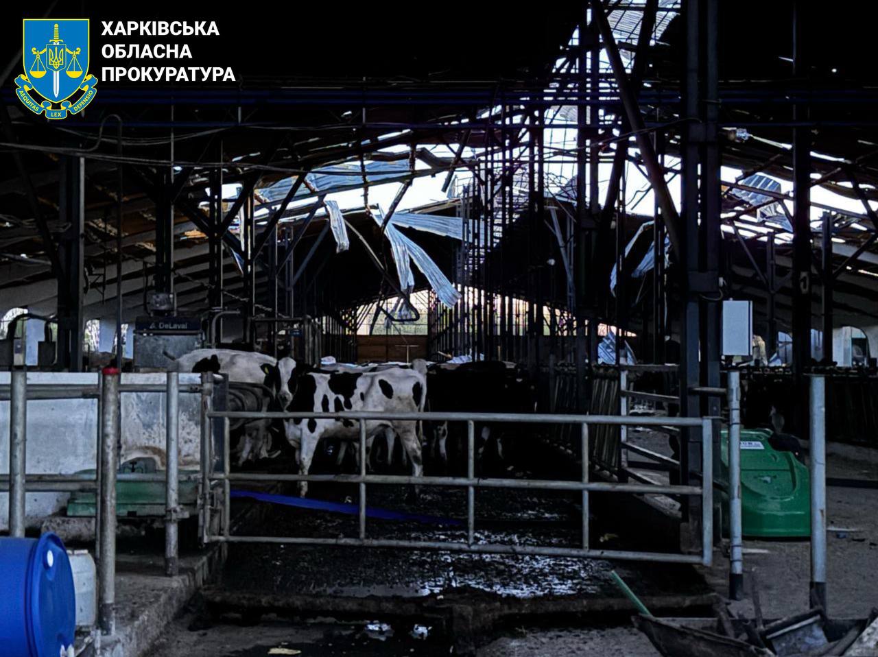 Російські БпЛА атакували ферму на Харківщині