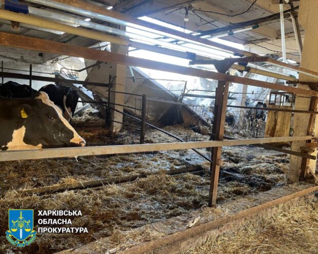 Правоохоронці задокументували наслідки ворожих атак по Харківщині