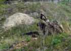 На Харківському напрямку відбулося два боєзіткнення, на Куп’янському росіяни атакували сім разів - Генштаб ЗСУ