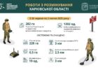 На Харківщині за тиждень виявили та знищили понад 1300 вибухонебезпечних предметів