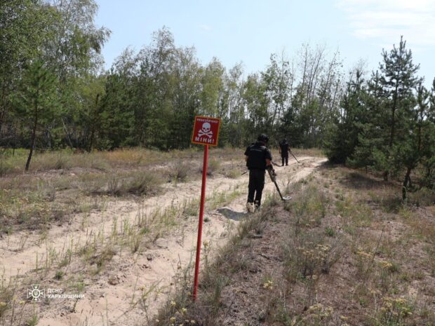 Понад 700 вибухонебезпечних предметів знешкодили сапери ДСНС на Харківщині за тиждень