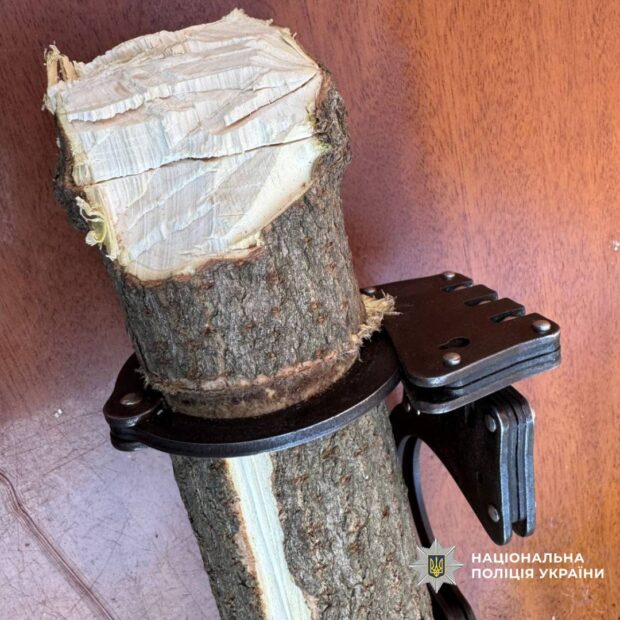 У Харкові двоє чоловіків під час святкування дня народження побили жінку та пристебнули її кайданками до дерева