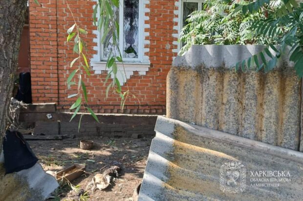 Протягом минулої доби ворожих ударів зазнали п'ять населених пунктів Харківшини - Синєгубов