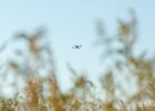 За добу росіяни здійснили 23 атаки на позиції Сил оборони в Харківській області - Генштаб ЗСУ