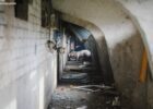 Російський обстріл на Харківщині: загинули 13 тисяч свиней