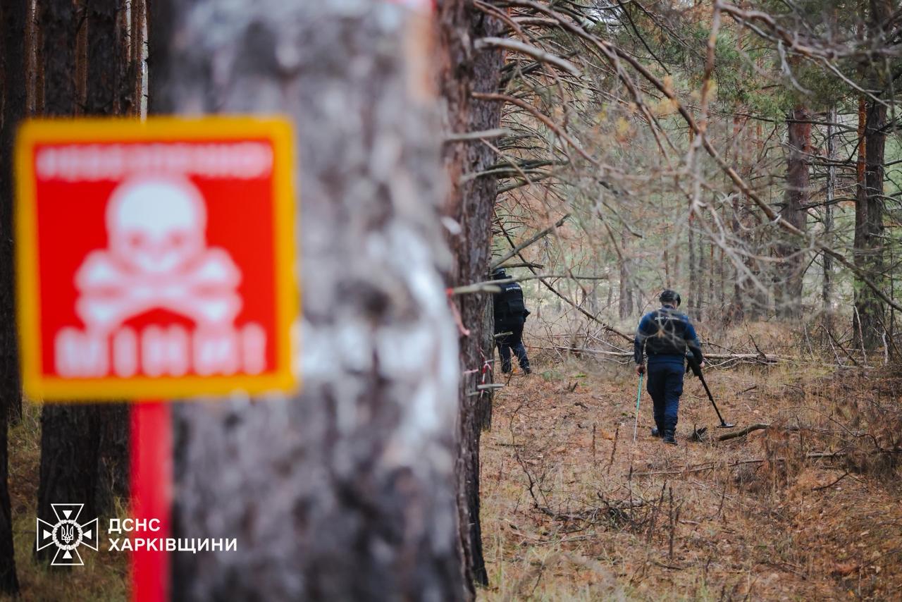 Впродовж тижня сапери ДСНС виявили та знешкодили на Харківщині майже 400 вибухонебезпечних предметів (відео)