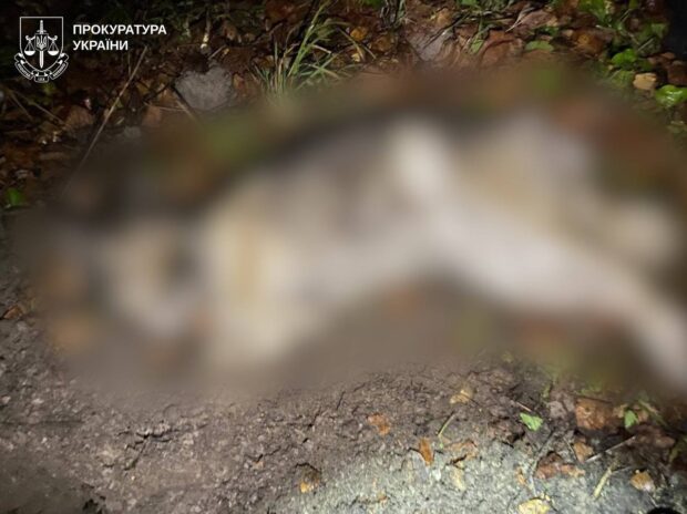 На Харківщині розслідують вбивство собаки