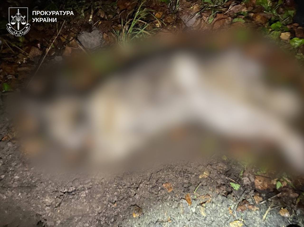 На Харківщині розслідують вбивство собаки
