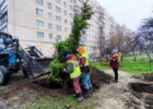 У Харкові продовжуватимуть роботи з озеленення