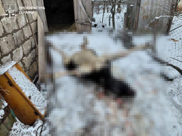 Дві людини постраждали внаслідок чергових російських ударів по Харківщині