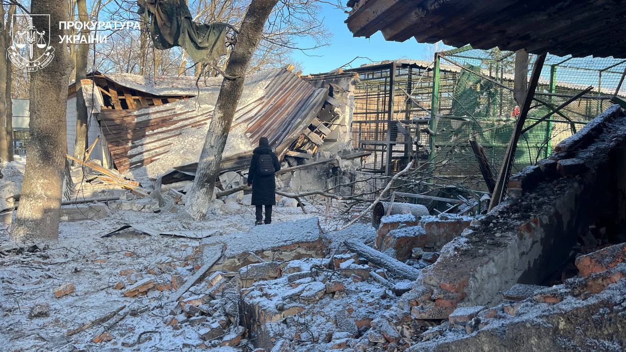 КАБ поцілив в екопарк Харківщини: леви поранені, птиця загинула
