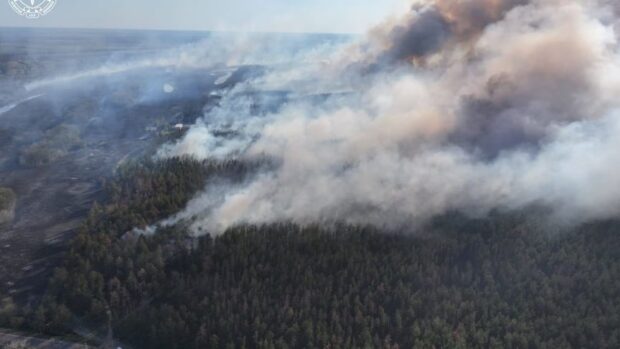 Рибалка з Балаклії судитимуть за пожежу на заповідній території, 30 млн гривень збитків