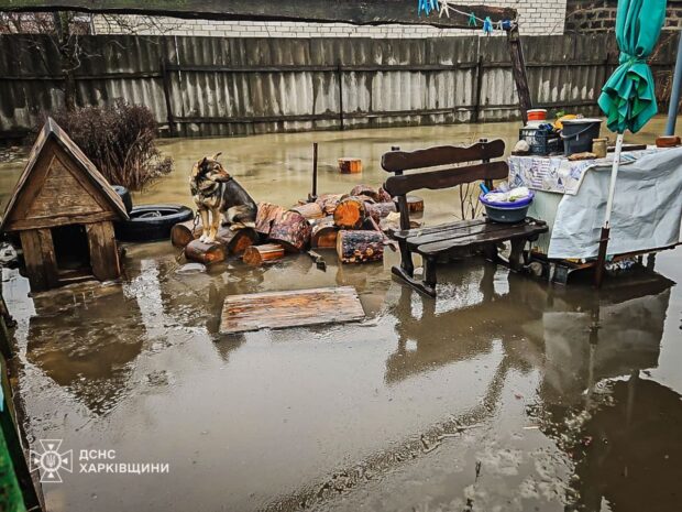 В Ізюмському районі на Харківщині усувають підтоплення