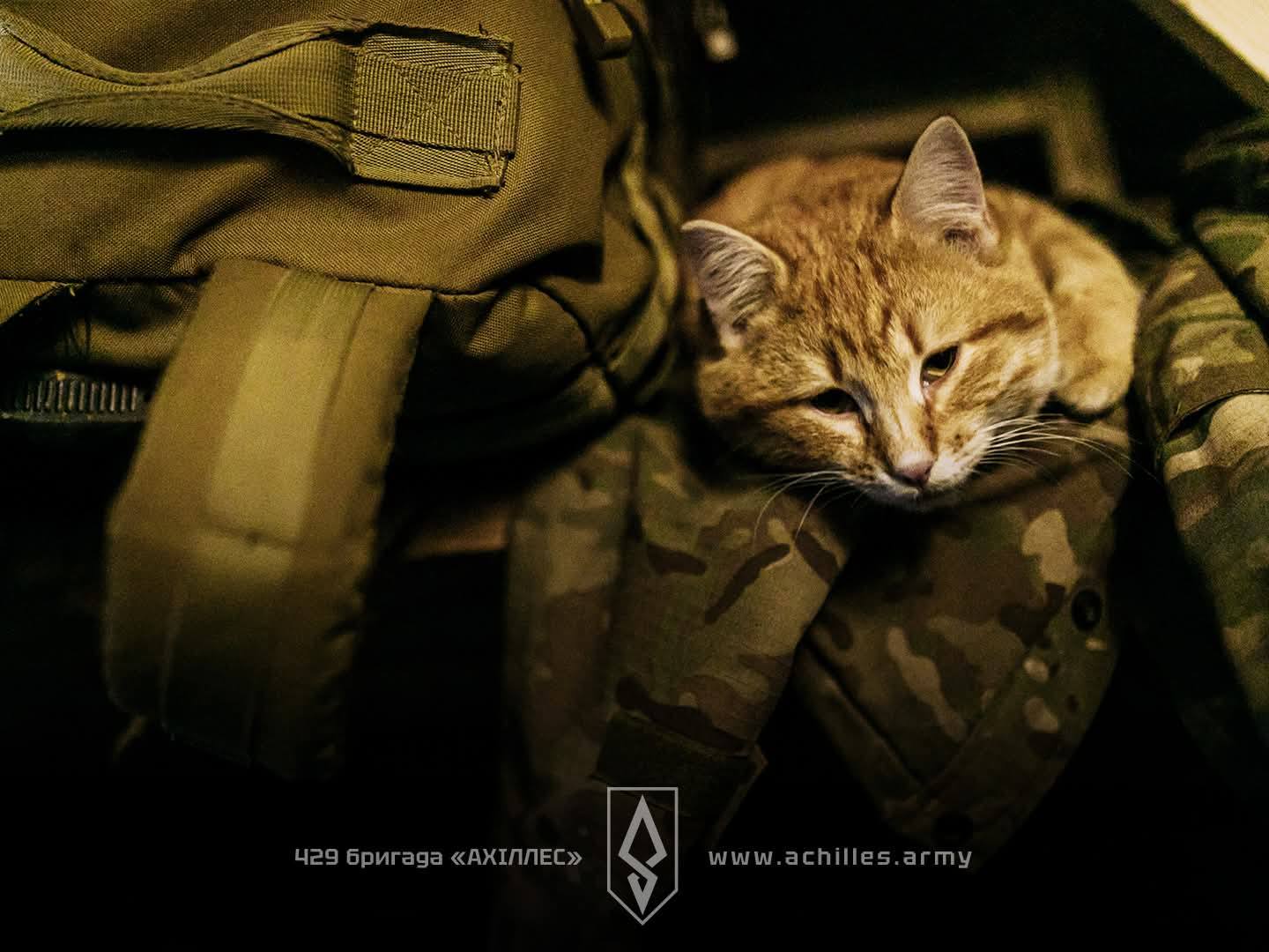 За добу Сили оборони відбили 16 атак росіян на Харківщині - Генштаб ЗСУ