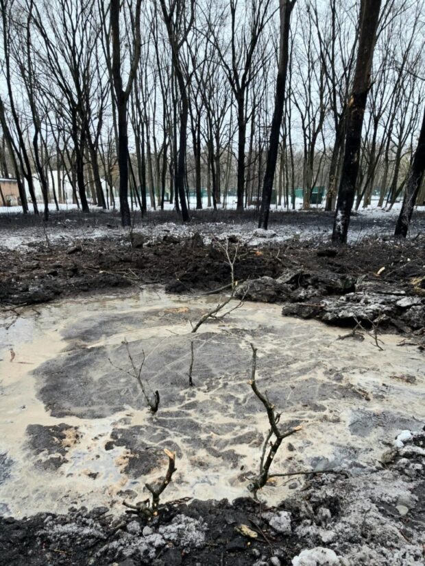 Ракета вибухнула в Центральному парку Харкова: знищені дерева