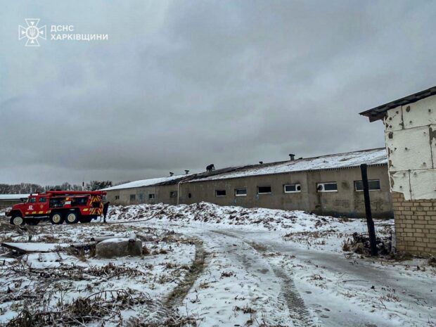Росіяни вдарили по фермі у Дворічному Куті на Харківщині: постраждав працівник, загинула сотня свиней
