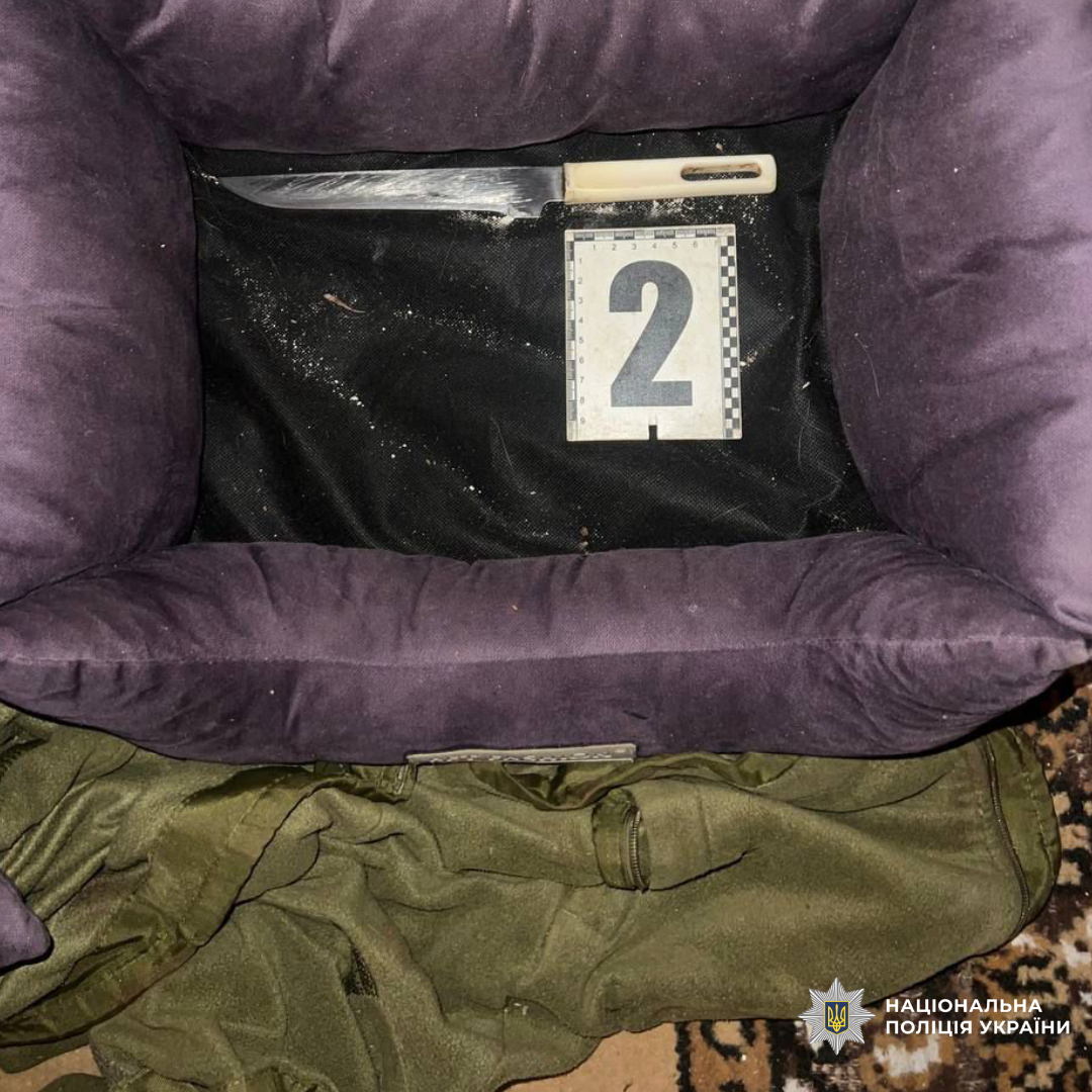 Жінку в Харкові затримали за смертельне ножове поранення співмешканця