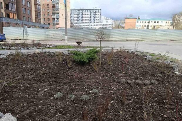У Харкові почастішали випадки крадіжок зелених насаджень
