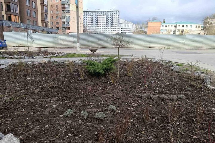 У Харкові почастішали випадки крадіжок зелених насаджень